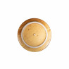 Assiette plate 2 PCS