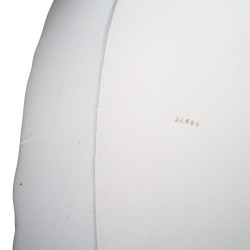 Plat plum 1 pièce
