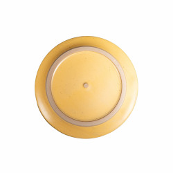 Assiette grande 2 PCS