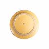 Assiette grande 2 PCS